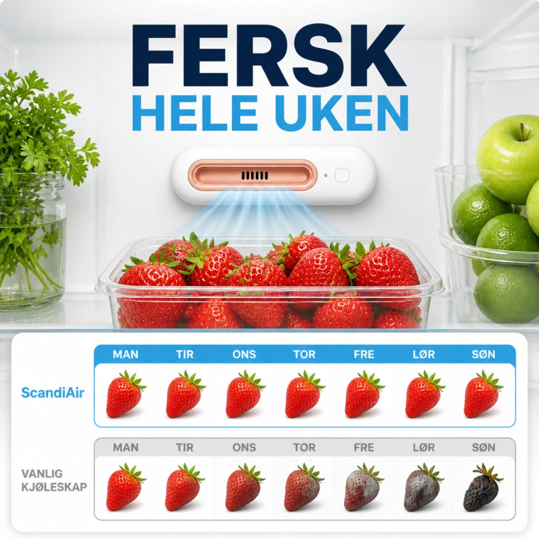 ScandiFridge™ - Keeps your food fresh up to 4 times longer & reduces your food expenses