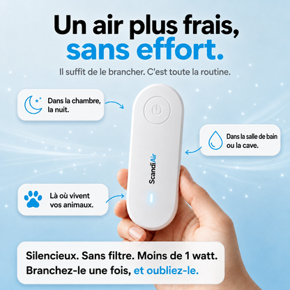 ScandiAir™ – Offrez à votre famille un air plus pur et un foyer plus sain